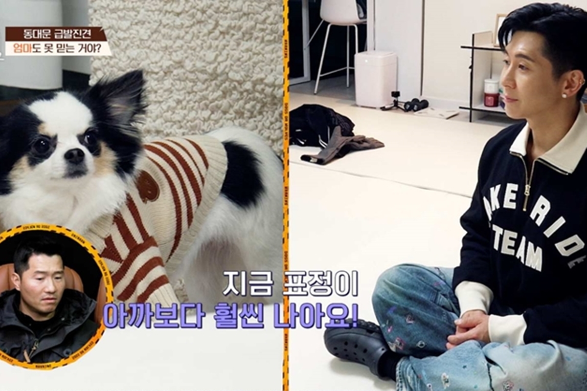 출처: 채널A '개와 늑대의 시간2'