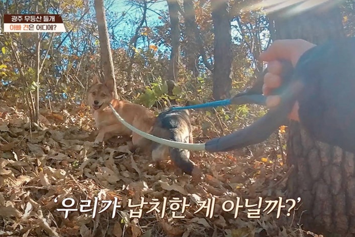 출처: 채널A '개와 늑대의 시간2'
