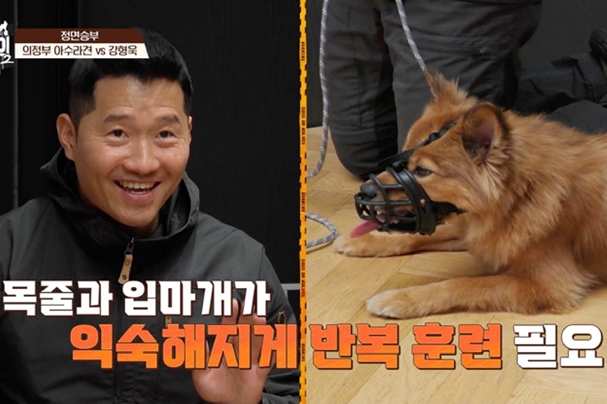 출처: 채널A '개와 늑대의 시간2'