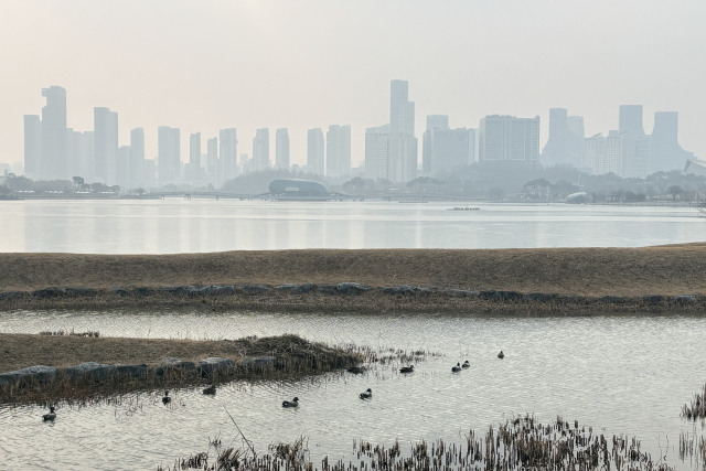 미세먼지와 황사 유입으로 대전, 세종, 충남 지역에 '초미세먼지 비상저감조치'가 발령된 15일 세종시 호수공원 너머로 아파트단지가 미세먼지로 뿌옇게 보인다. 세종=연합뉴스