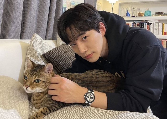   引用：インスタグラム \'ansunganimalcare\'