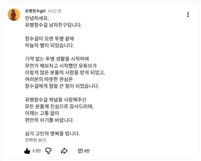 引用:YouTubeチャンネル「有病長寿ガール」