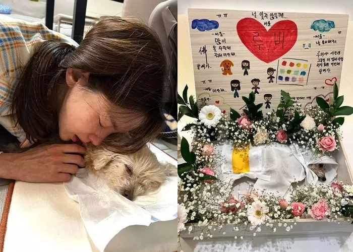 引用:チョン・ガウンのInstagramアカウント