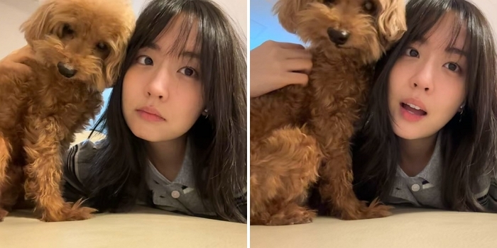  引用：Instagram@choeuniiii