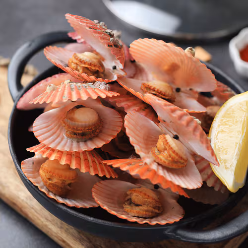 감칠맛이 일품인 홍가리비는 추운 겨울이 제철이다. /수협 제공