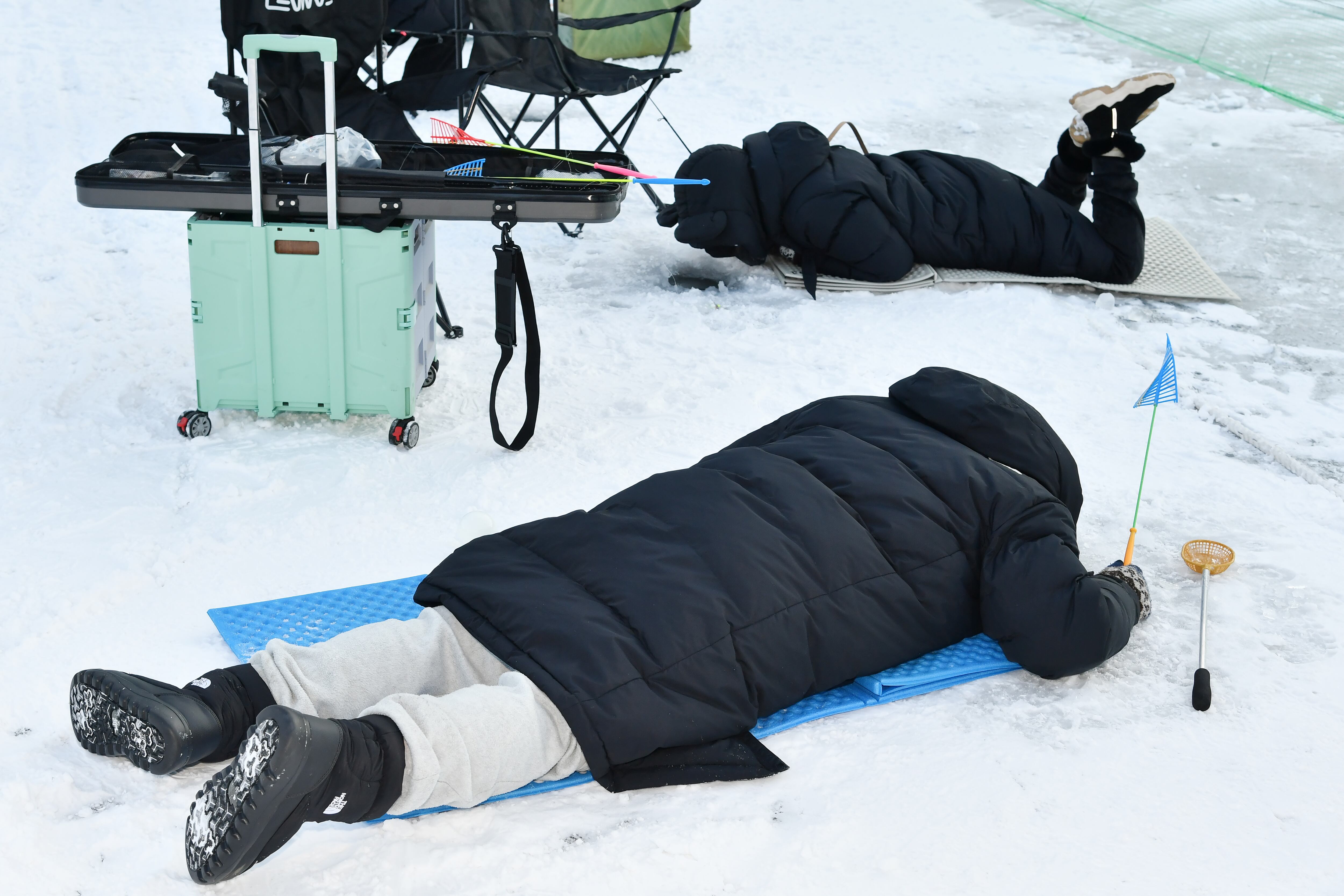 화천산천어축제. /화천군 제공