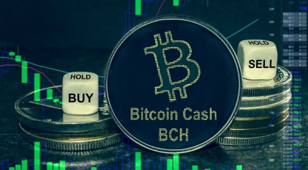 비트코인캐시(BCH)가 2026년 상승장을 주도할 수 있다는 전문가 분석이 나왔다. [사진: 셔터스톡]