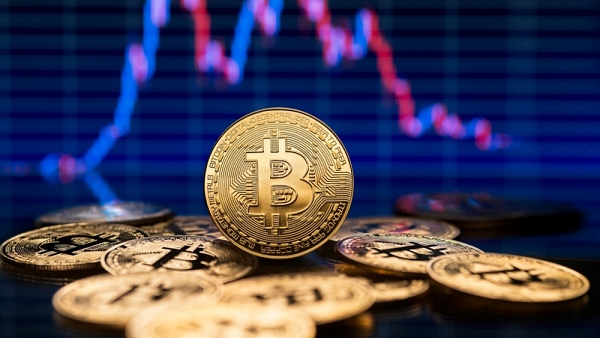 일명 비트코인 '상어' 투자자들이 BTC 매입을 늘리고 있다. [사진: 셔터스톡]