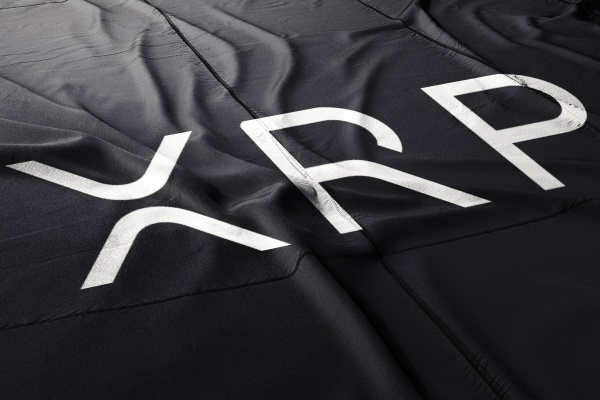 장기 투자에서 보유량은 중요하지만, 무리한 목표 설정보다는 시장 흐름과 개인 전략을 고려한 접근이 필요하다 [사진: 셔터스톡]