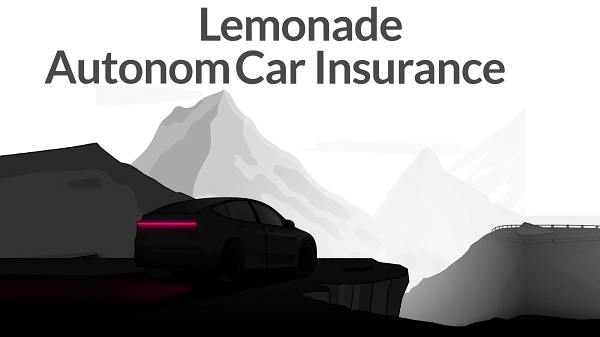 '자율주행차 보험'이 테슬라 소유자들에게 큰 할인을 제공한다. [사진: 레모네이드]