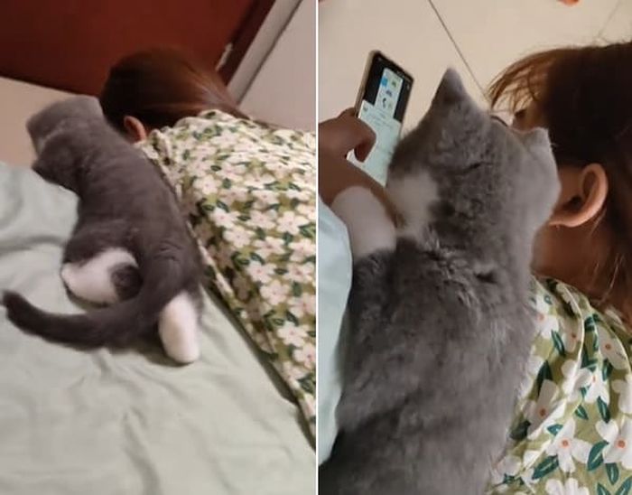 애니멀플래닛