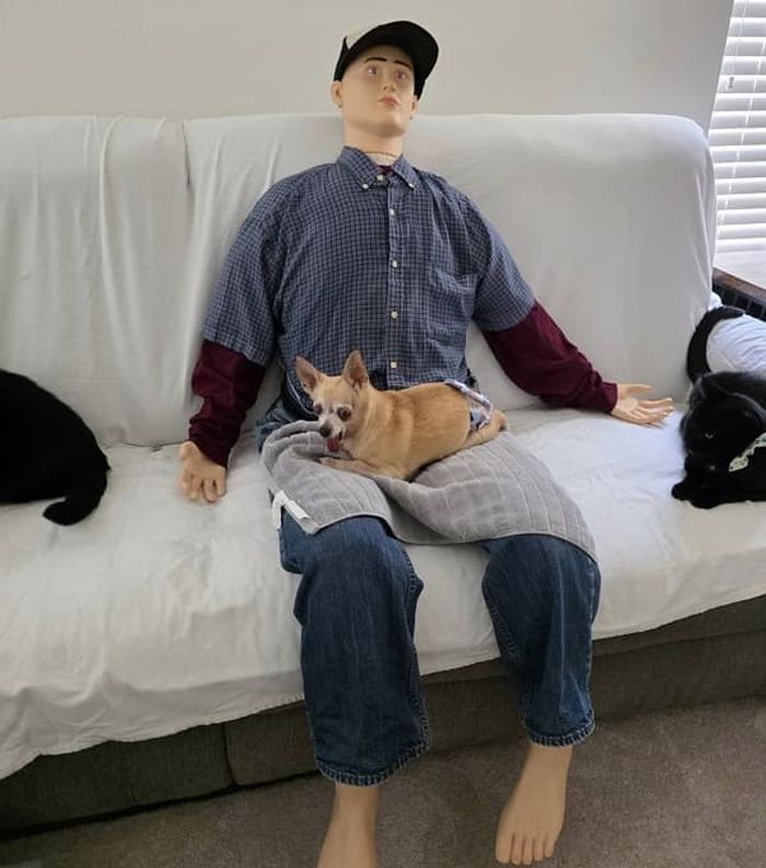 애니멀플래닛
