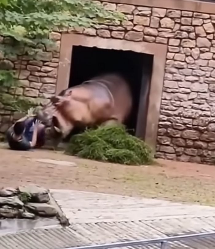 애니멀플래닛