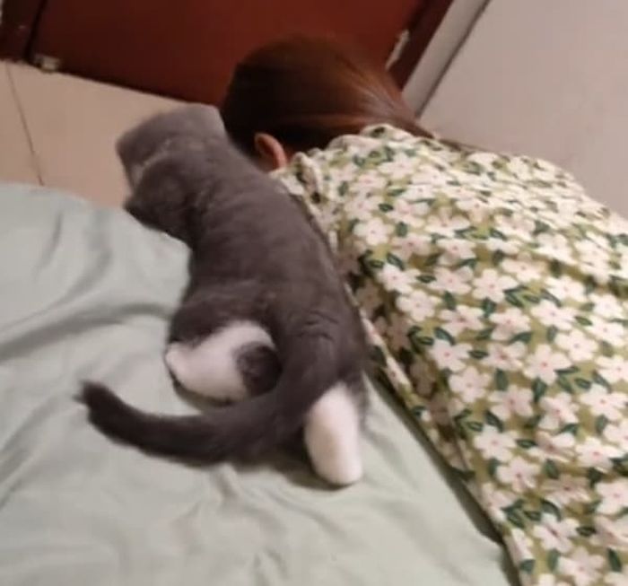 애니멀플래닛