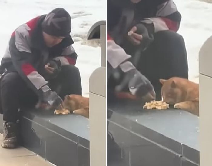 애니멀플래닛