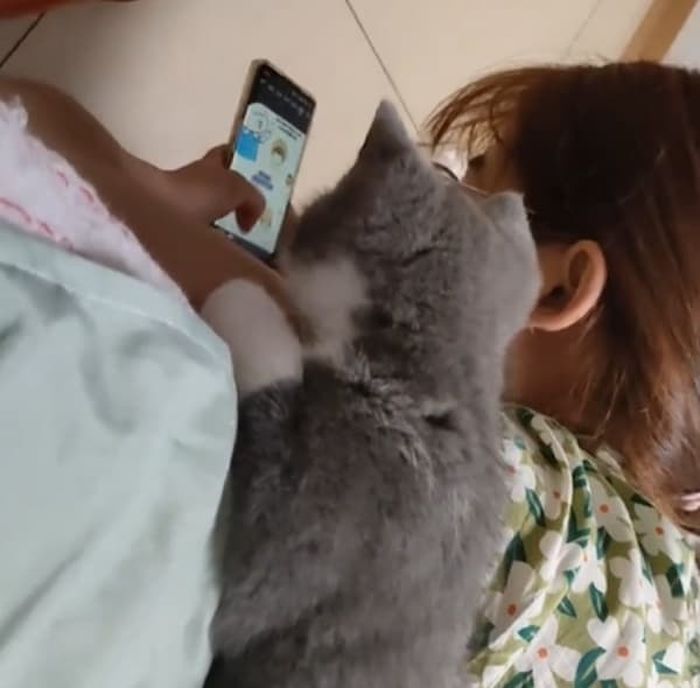 애니멀플래닛