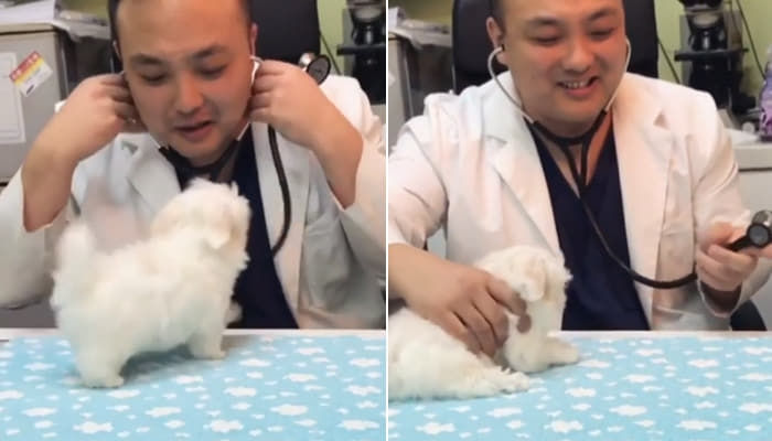 애니멀플래닛