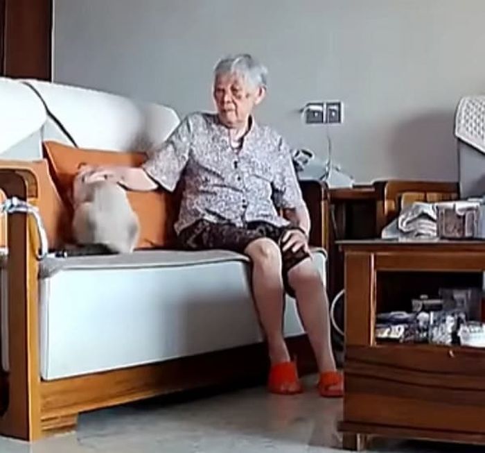 애니멀플래닛