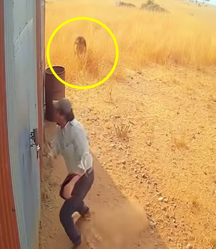 애니멀플래닛