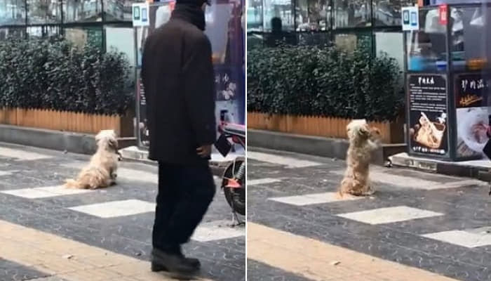 引用：ウェイボウ