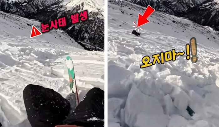 애니멀플래닛