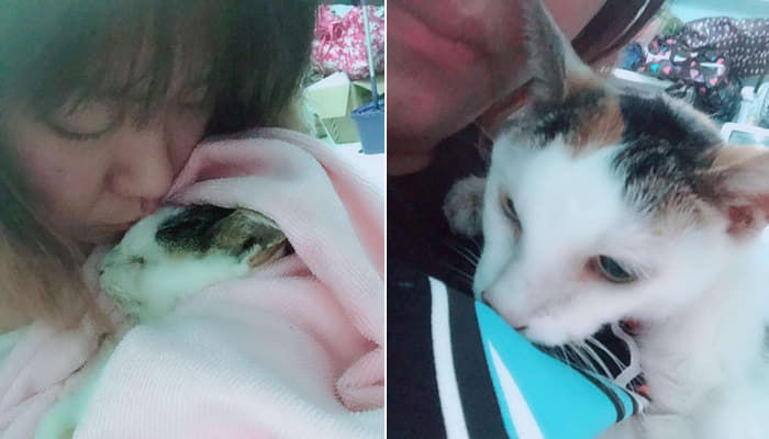 애니멀플래닛
