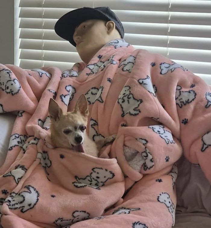 애니멀플래닛