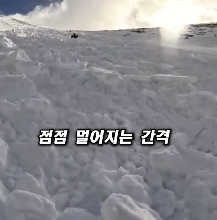 애니멀플래닛