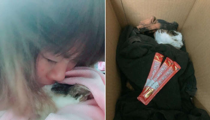 애니멀플래닛