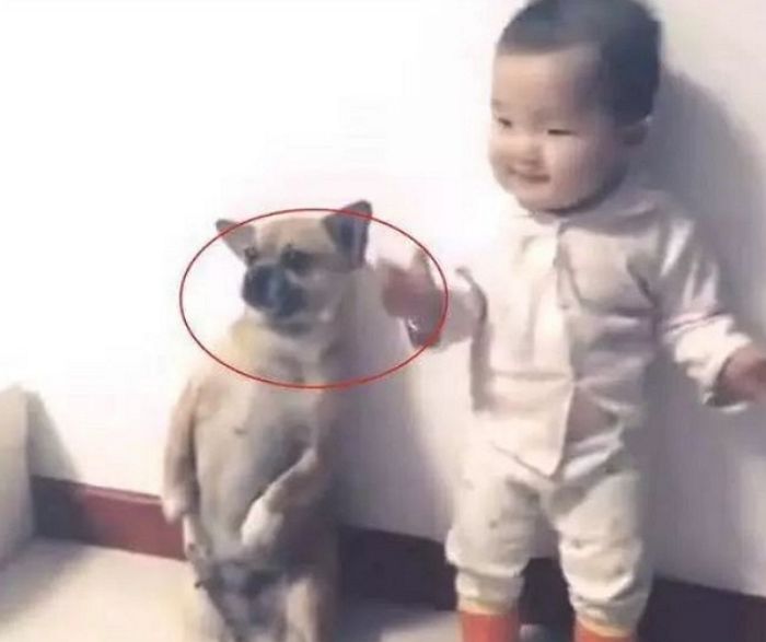 애니멀플래닛