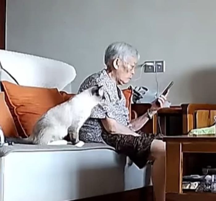 애니멀플래닛