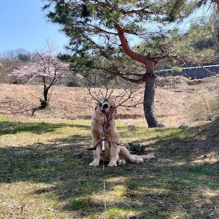 애니멀플래닛