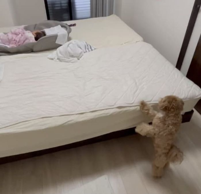 애니멀플래닛