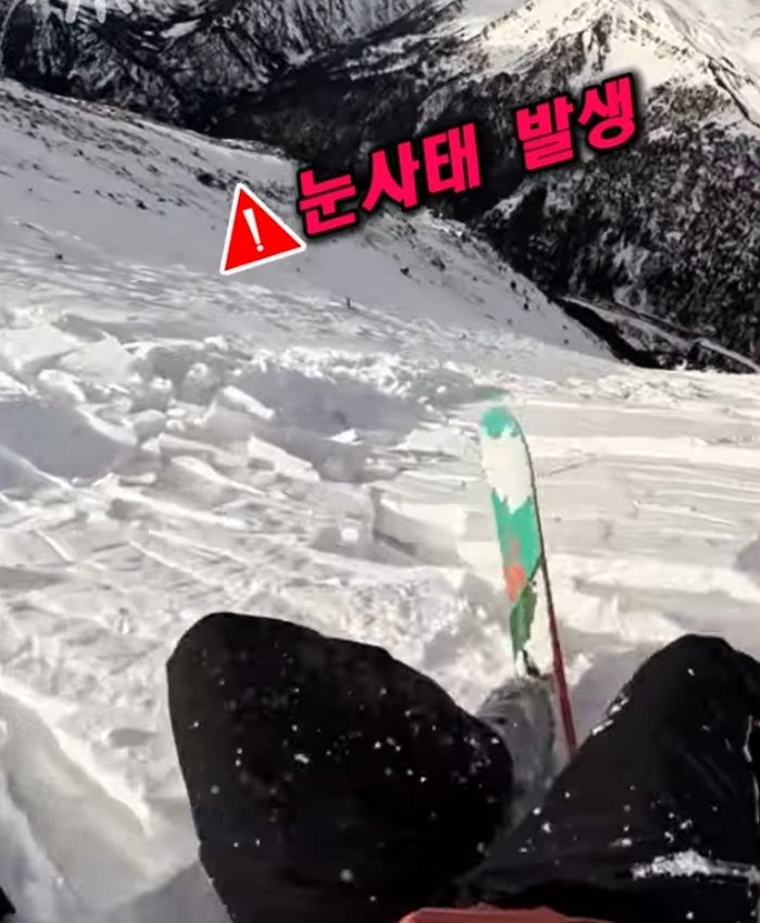 애니멀플래닛