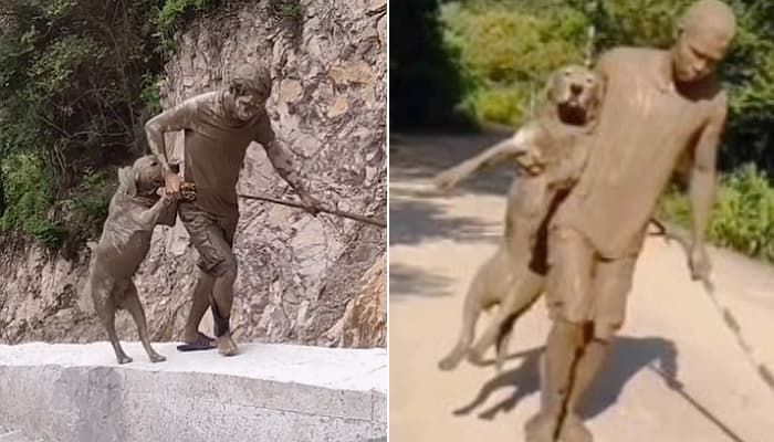 애니멀플래닛