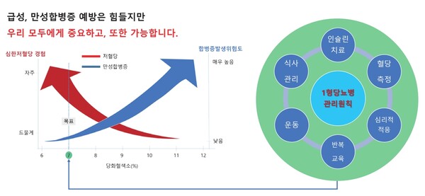  저혈당과 합병증 위험을 동시에 낮추기 위한 1형당뇨병 관리 목표와 핵심 원칙
