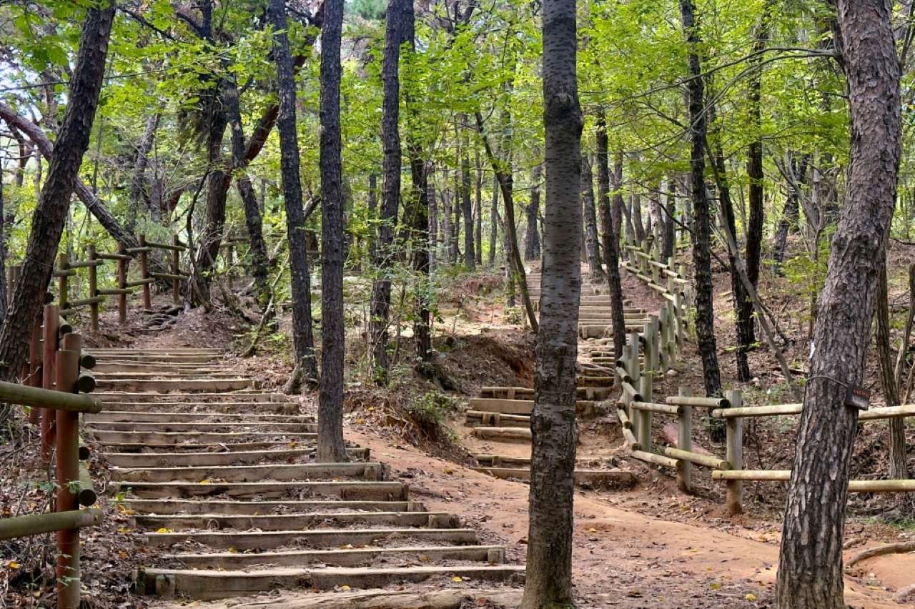 가볍게 산책할 수 있는 청량산 / 사진=인천투어갤러리