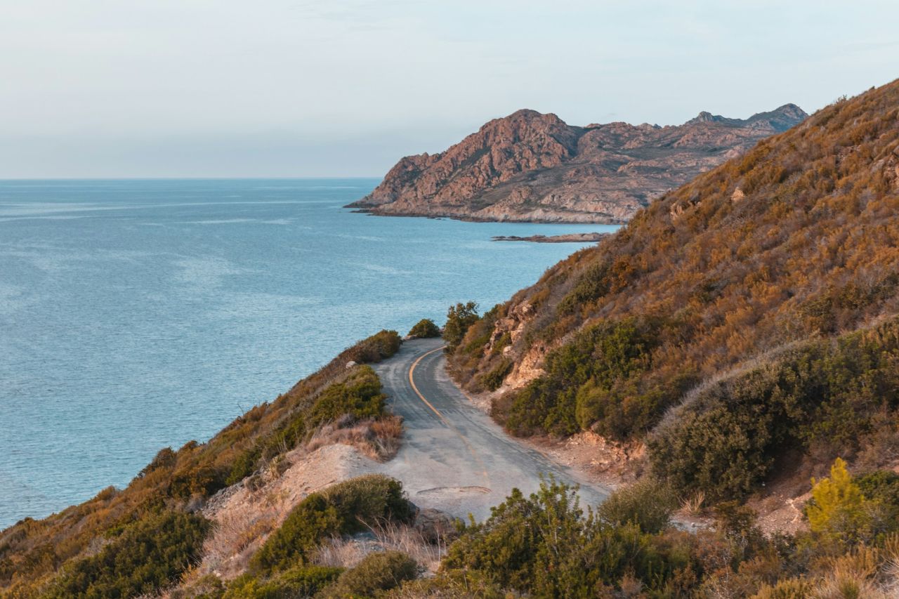 야생미 넘치는 코르시카 / 사진=unsplash@Clovis Wood