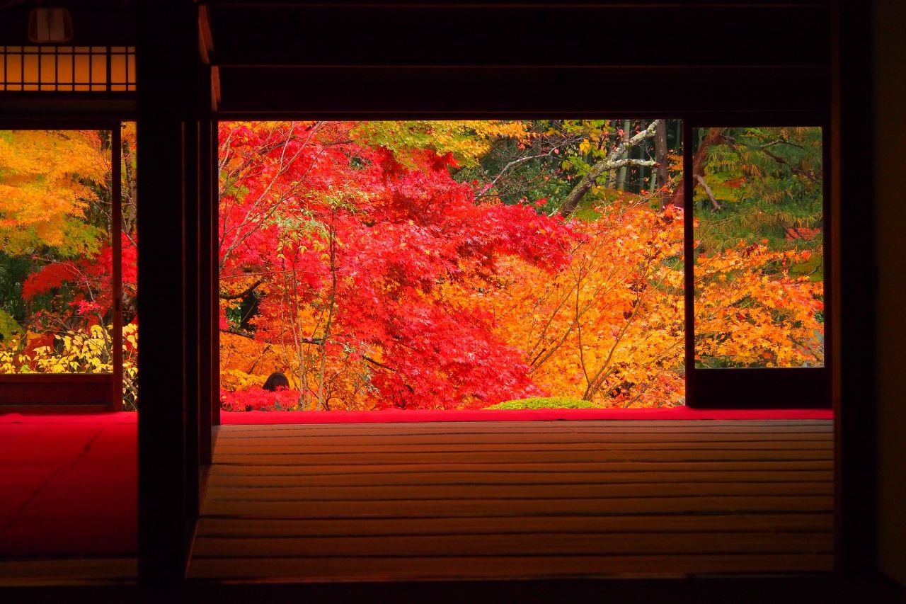 도호쿠지 / 사진=FLICKR-SUN TARO (CC BY-SA 2.0)