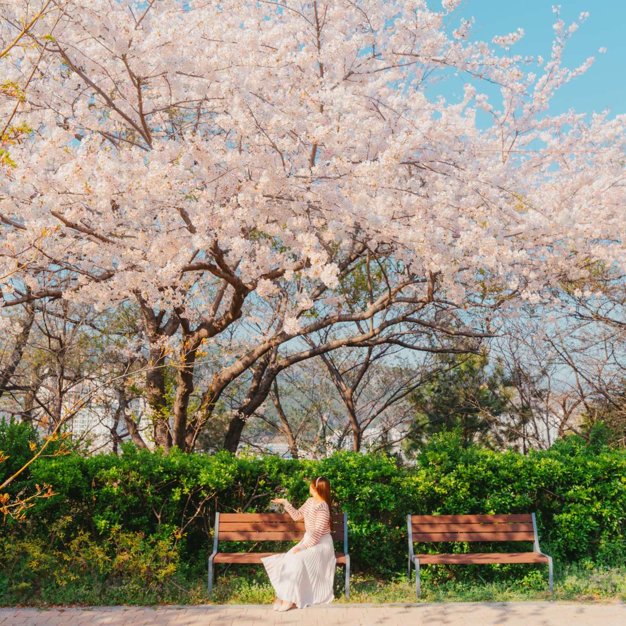 부산 / 사진=부산관광공사@써머트리, 신경민