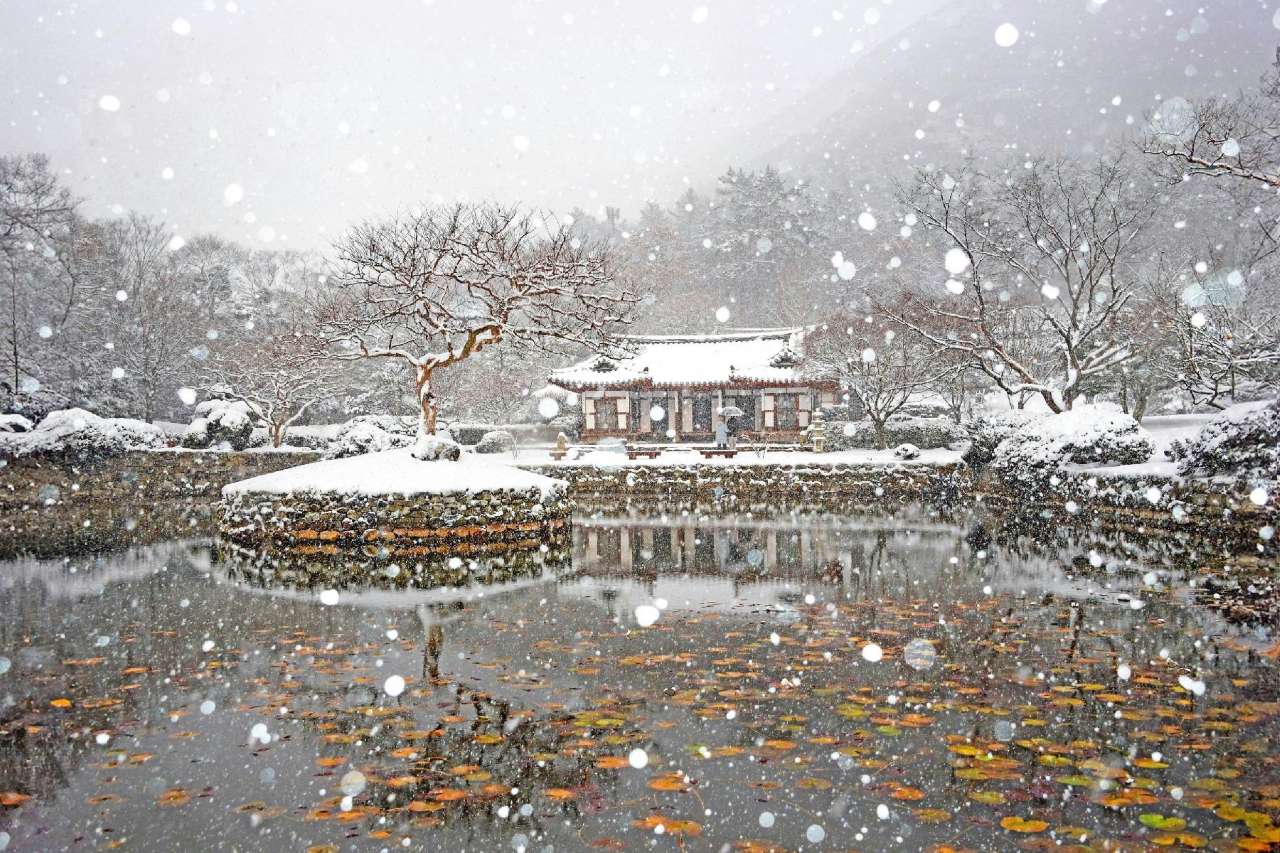 운림산방 설경