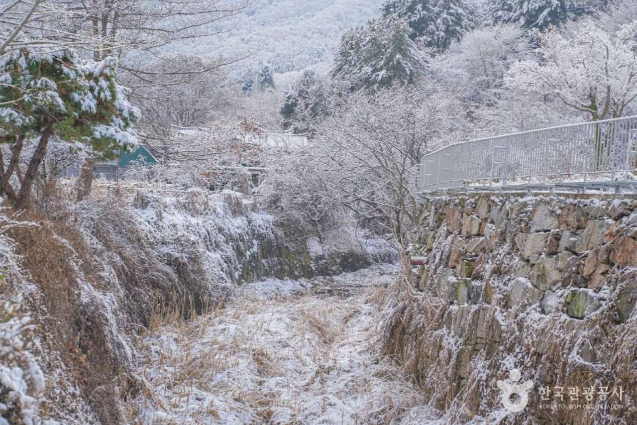 시골집에 온 것 같은 명달리계곡