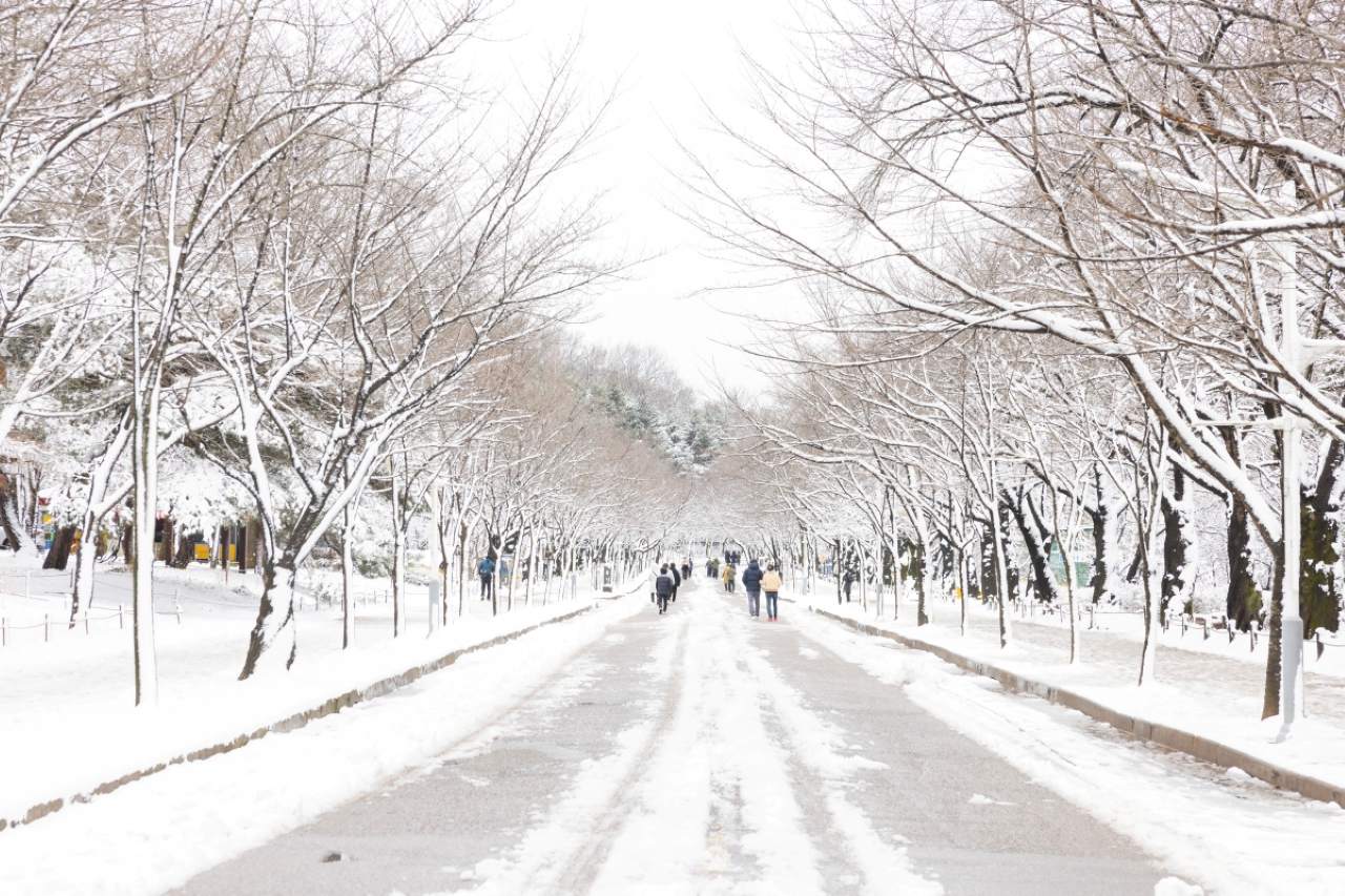 인천대공원