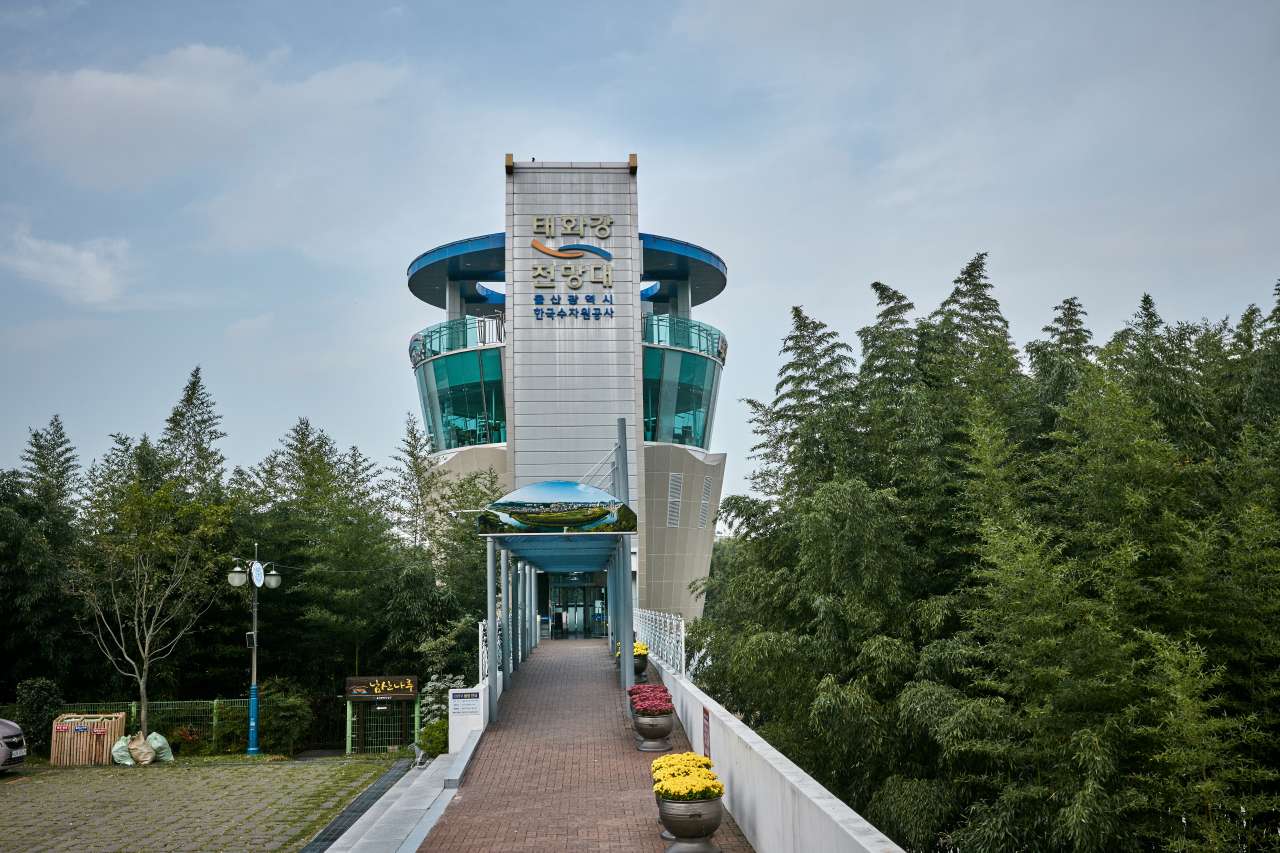 태화강전망대
