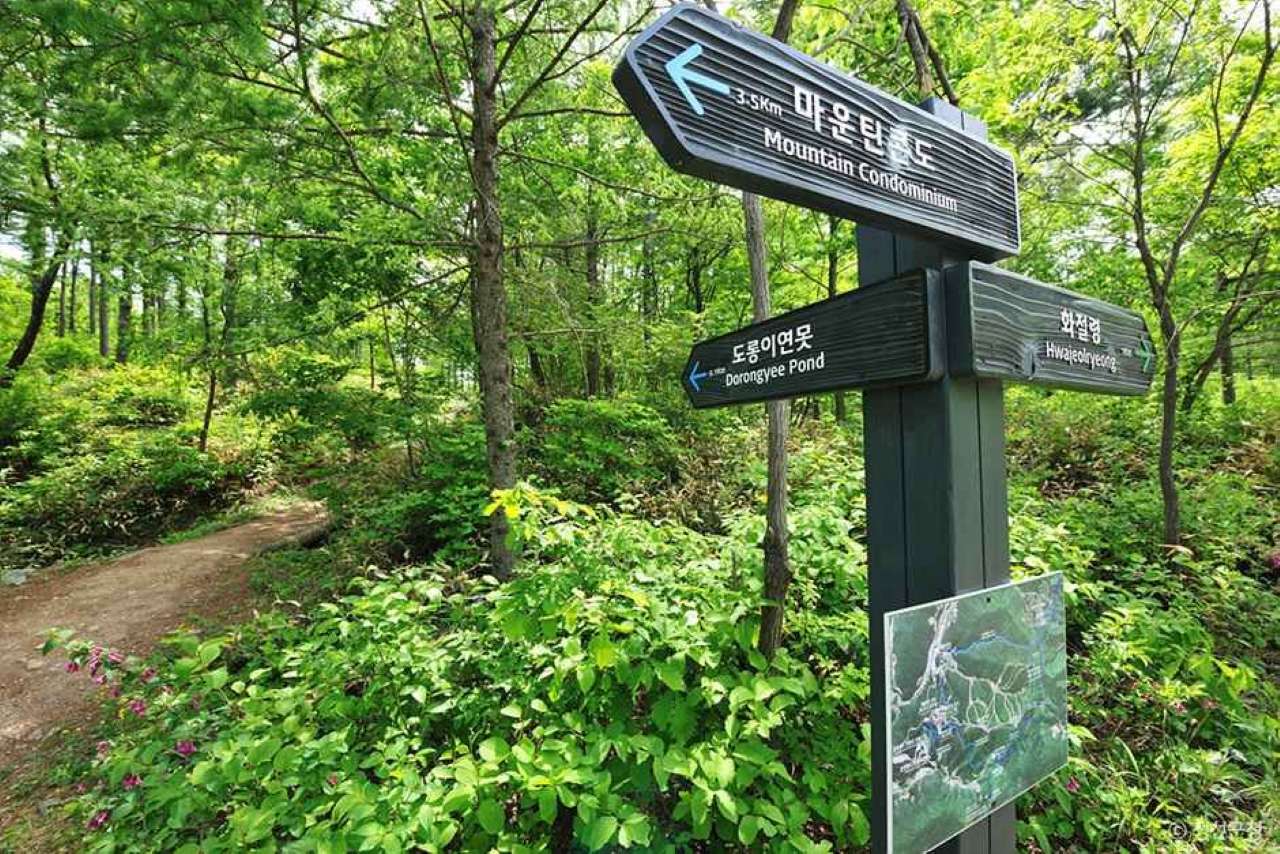 도롱이연못 가는 길 / 사진=한국관광 콘텐츠랩