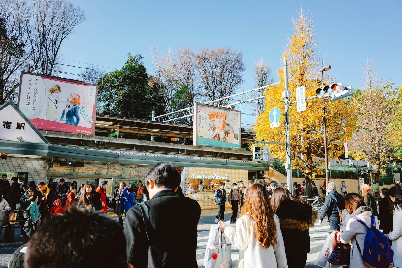 시부야 / 사진=unsplash@PJH