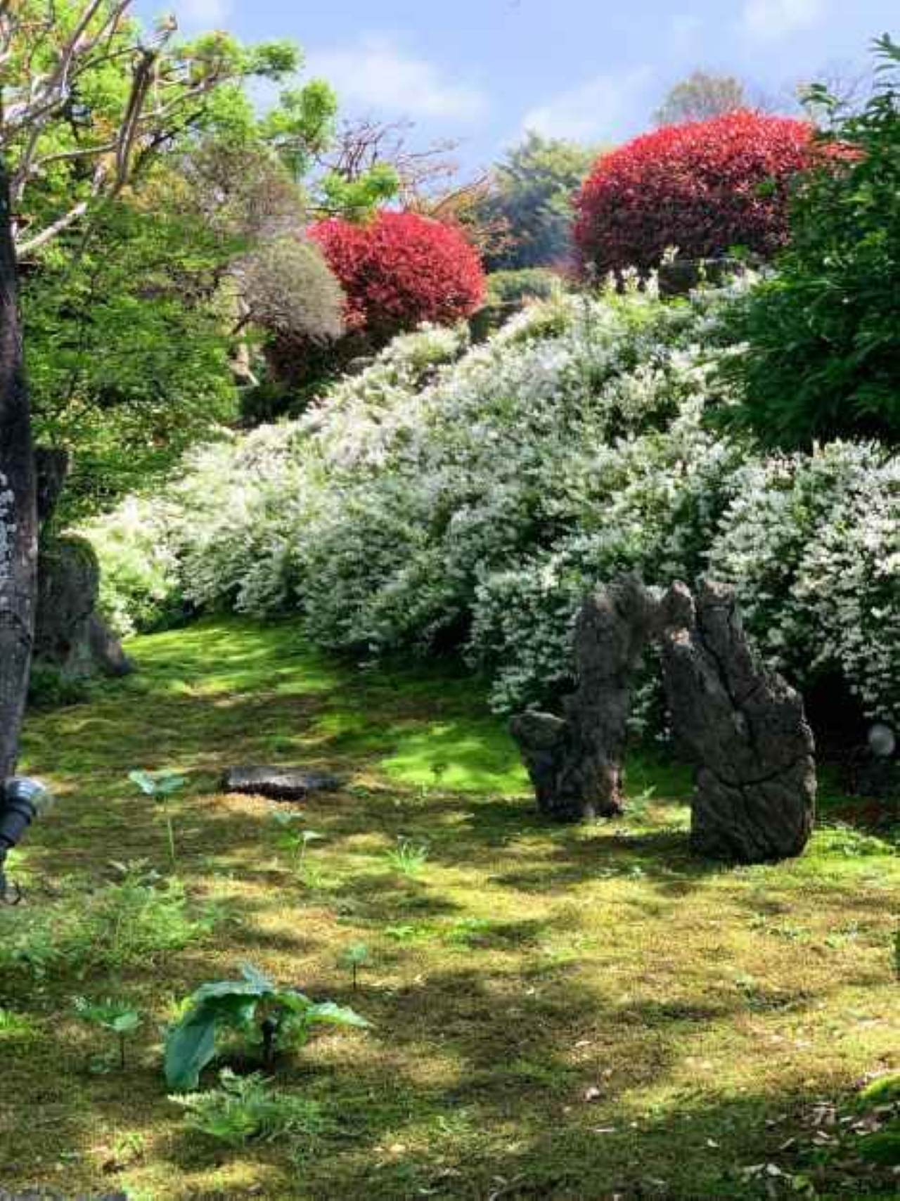 정원 산책