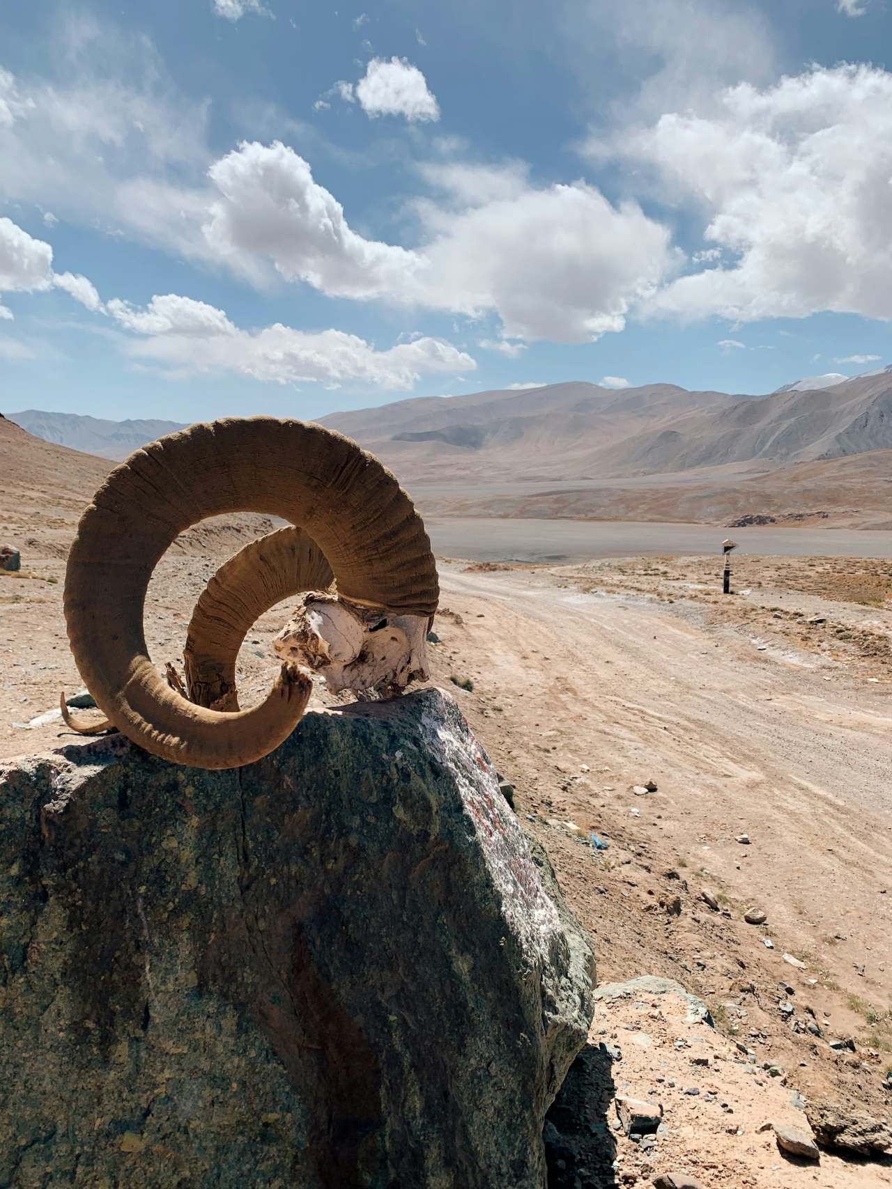 언제 가야 좋을까? / 사진unsplash@Irina Shishkina