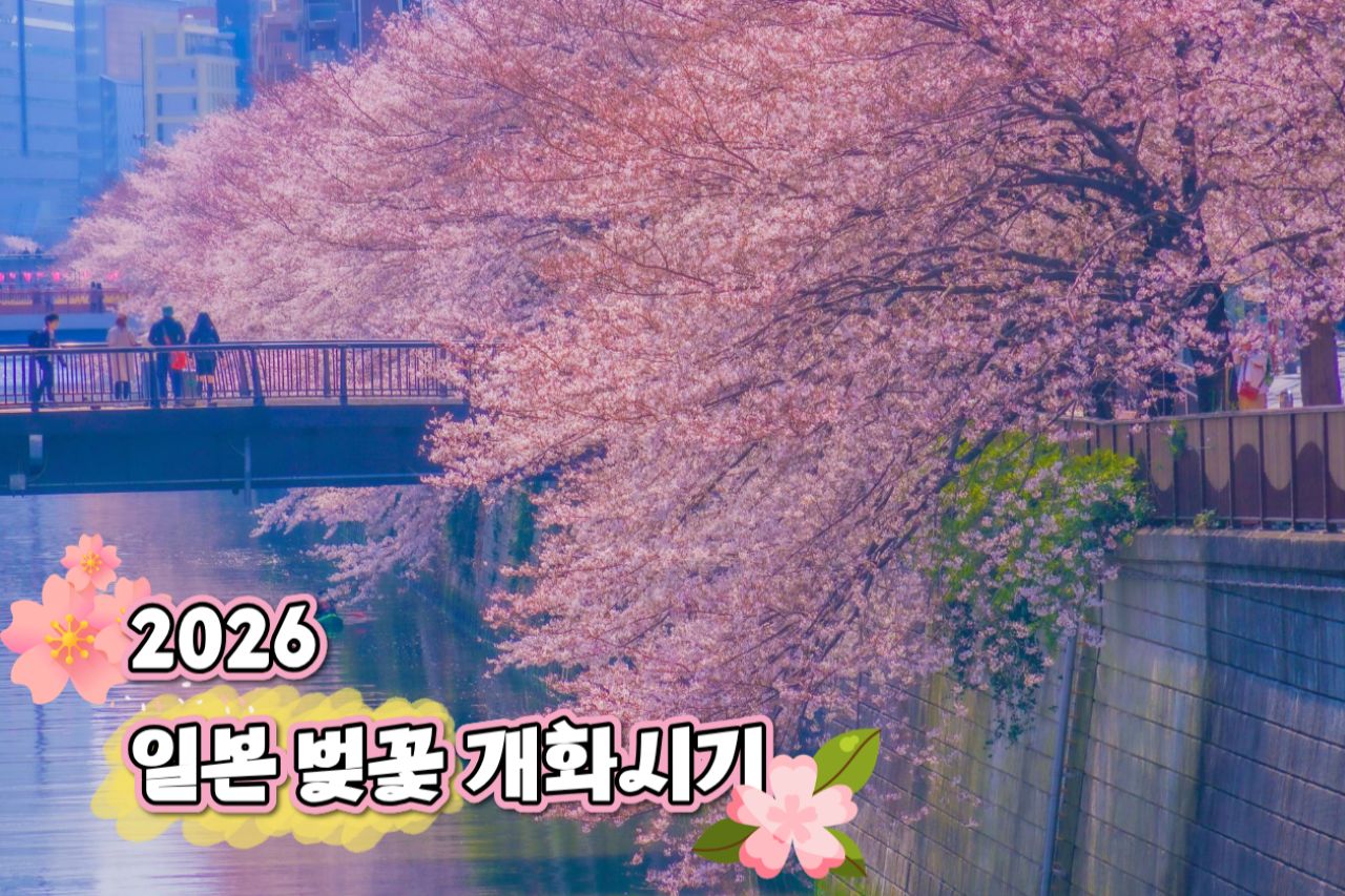 2026 일본 벚꽃 개화시기 / ⓒ인포매틱스뷰