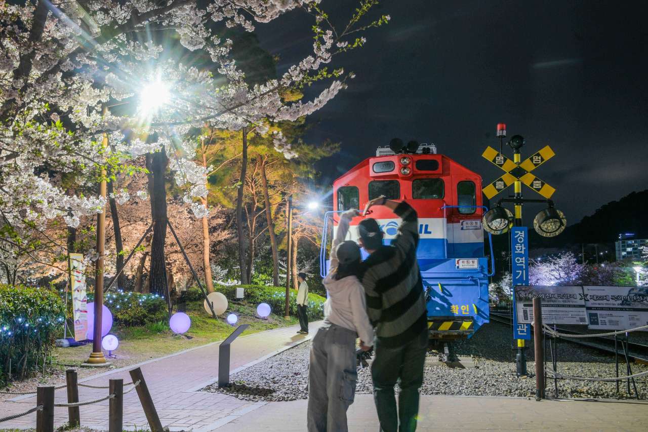 벚꽃 여행 팁 / 사진=한국관광공사 포토코리아@라이브스튜디오